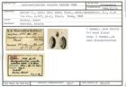 Karteikarte zum Syntyp von Quinqueloculina venusta Karrer, 1868